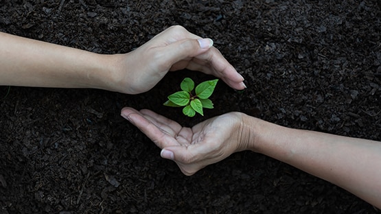 Launch of roadmap for sustainability disclosure in Hong Kong